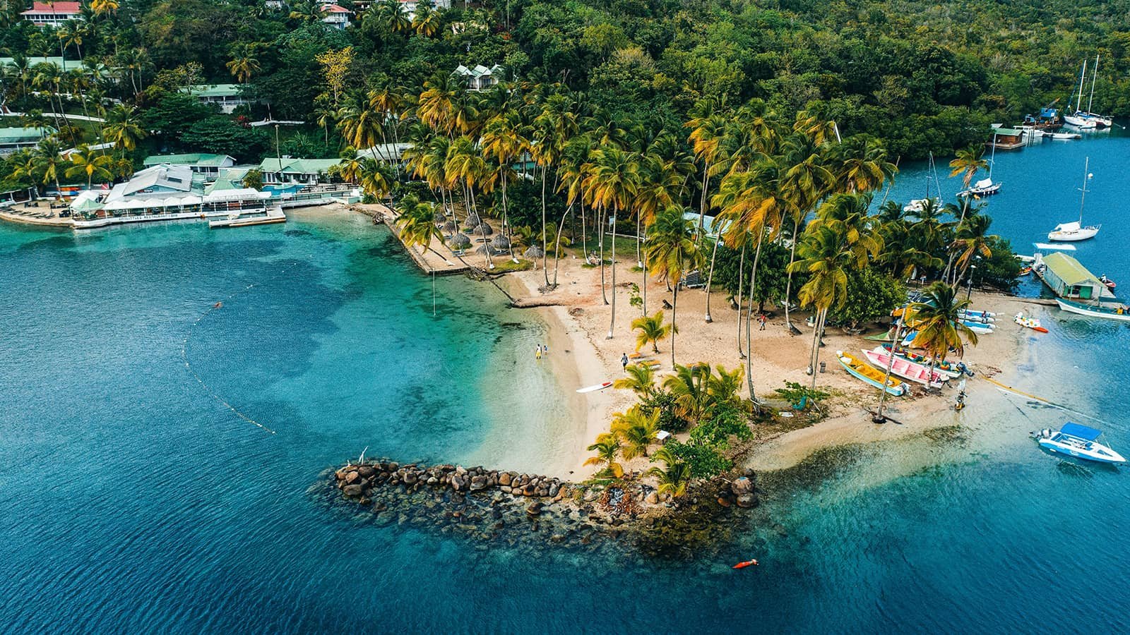 Tropical beach