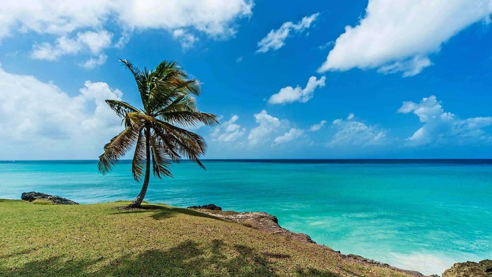 Tropical beach